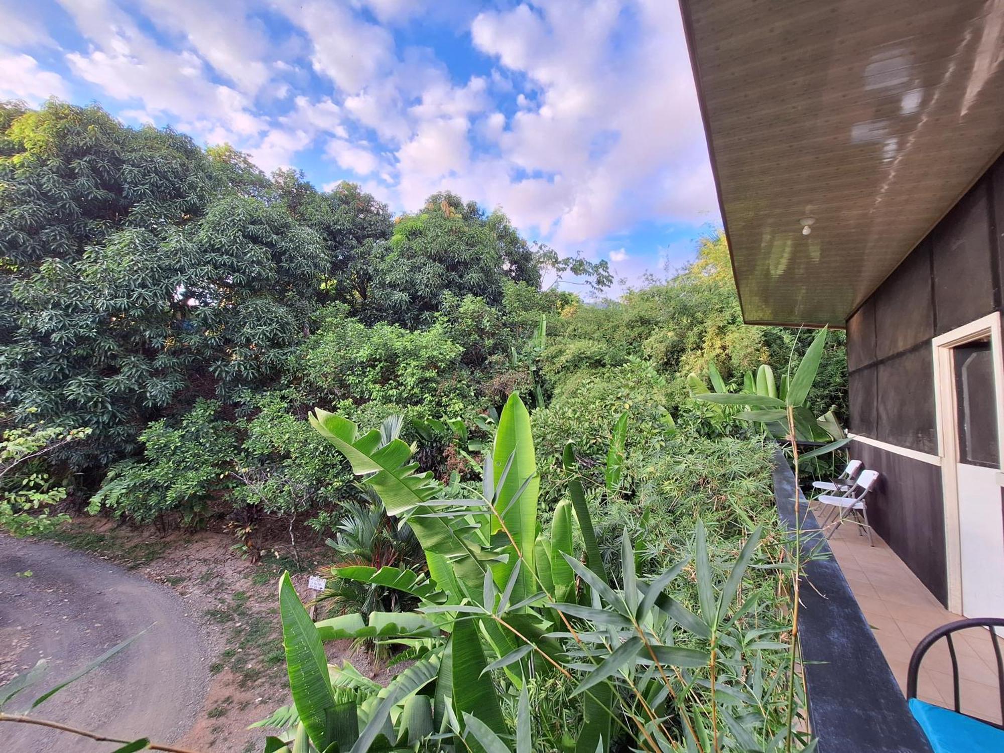 Cabinas Fave Uvita Exterior foto