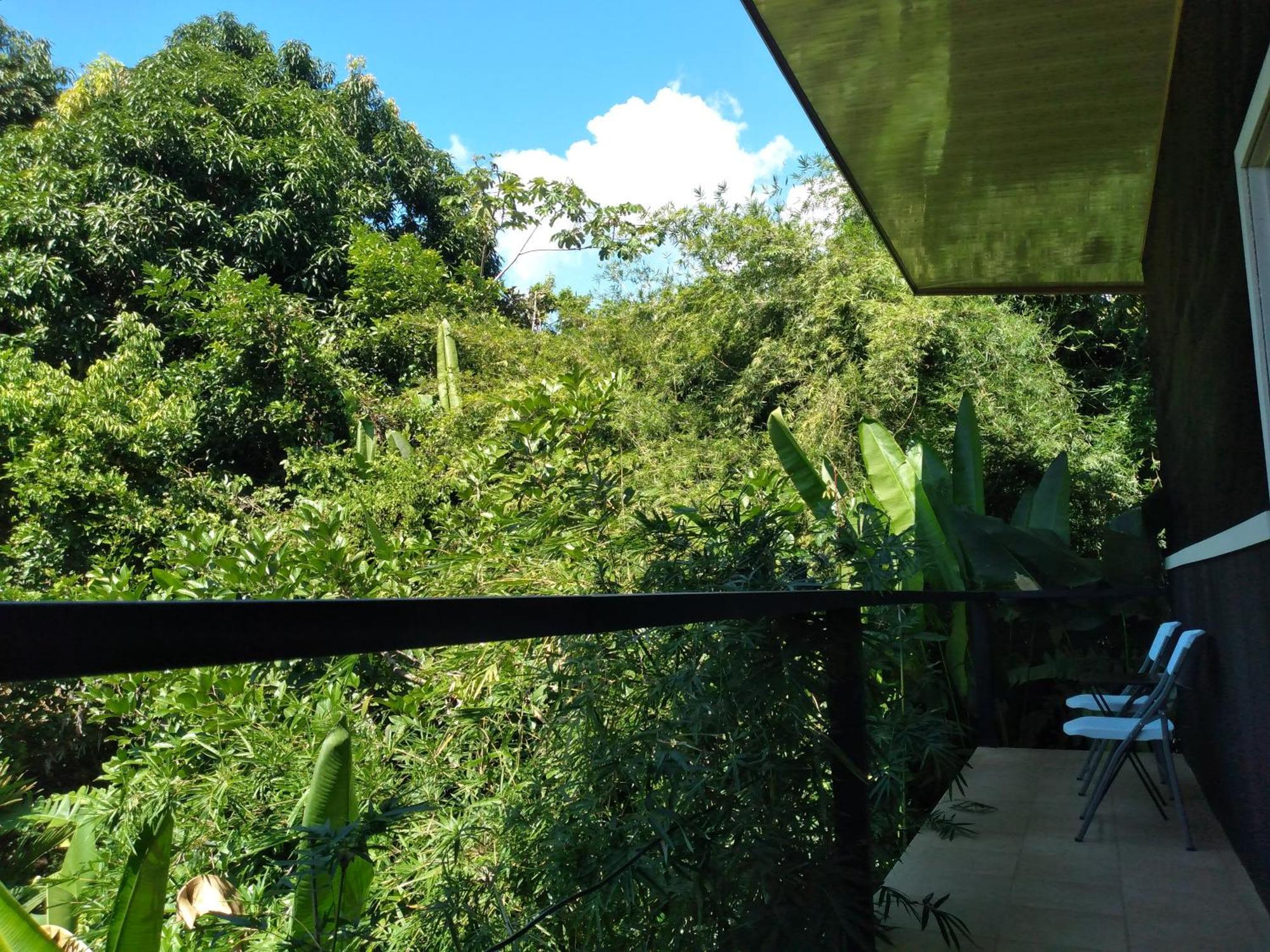 Cabinas Fave Uvita Exterior foto