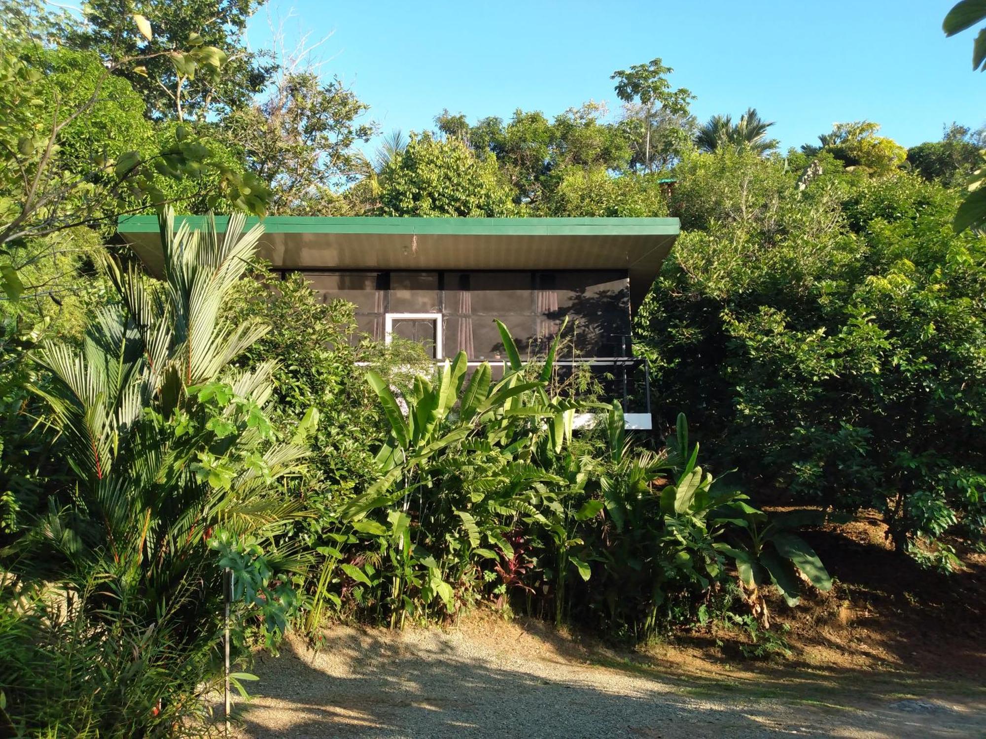 Cabinas Fave Uvita Exterior foto