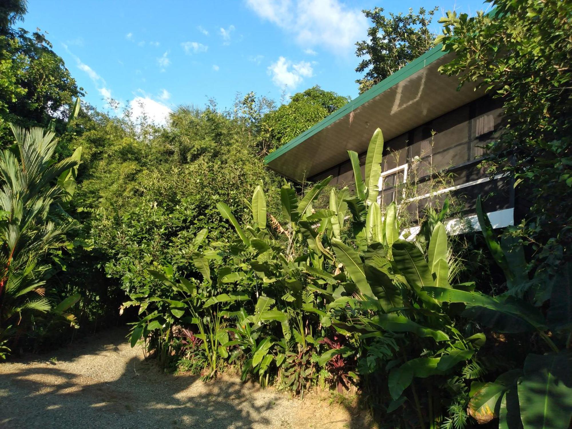 Cabinas Fave Uvita Exterior foto