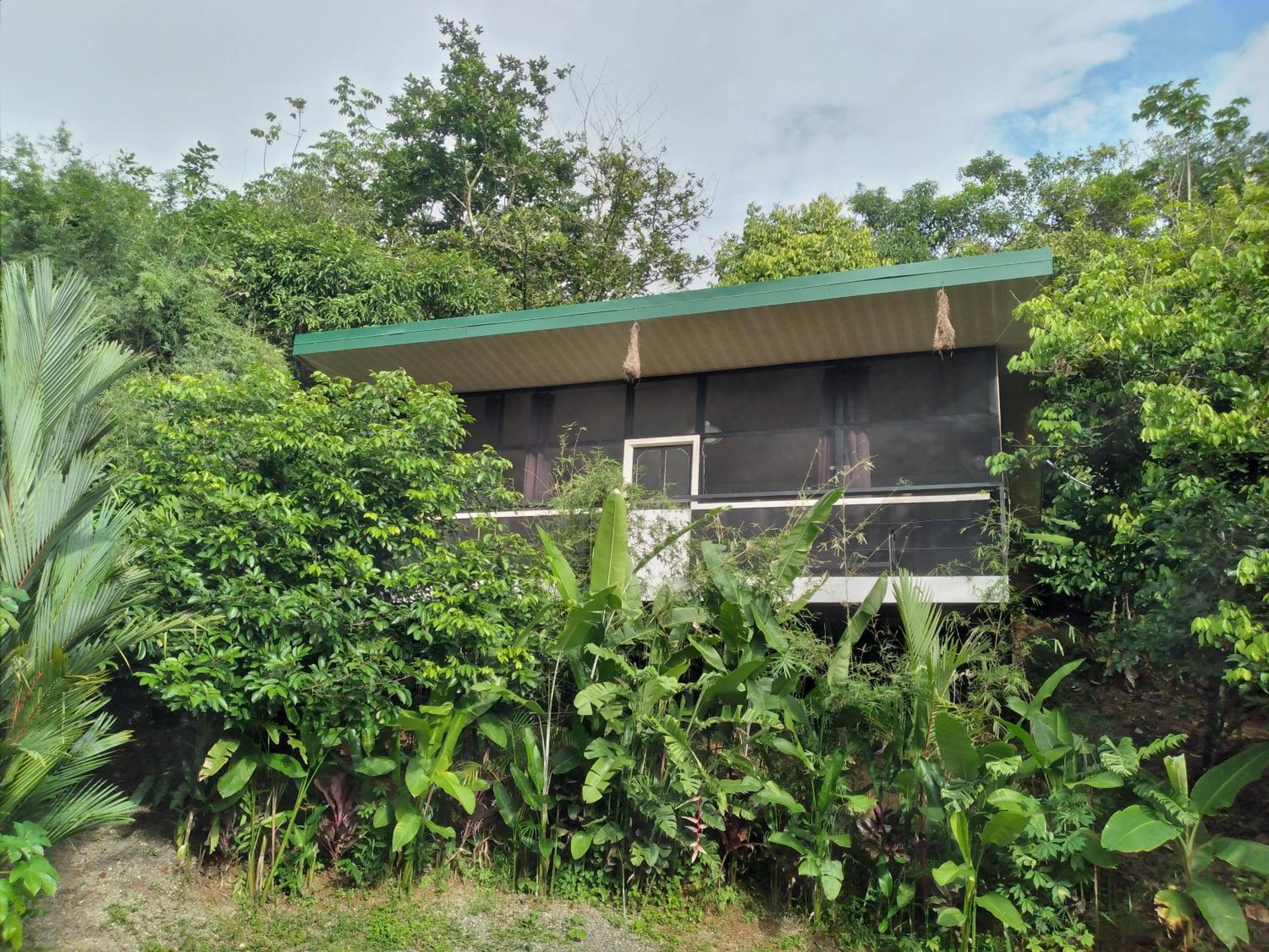 Cabinas Fave Uvita Exterior foto