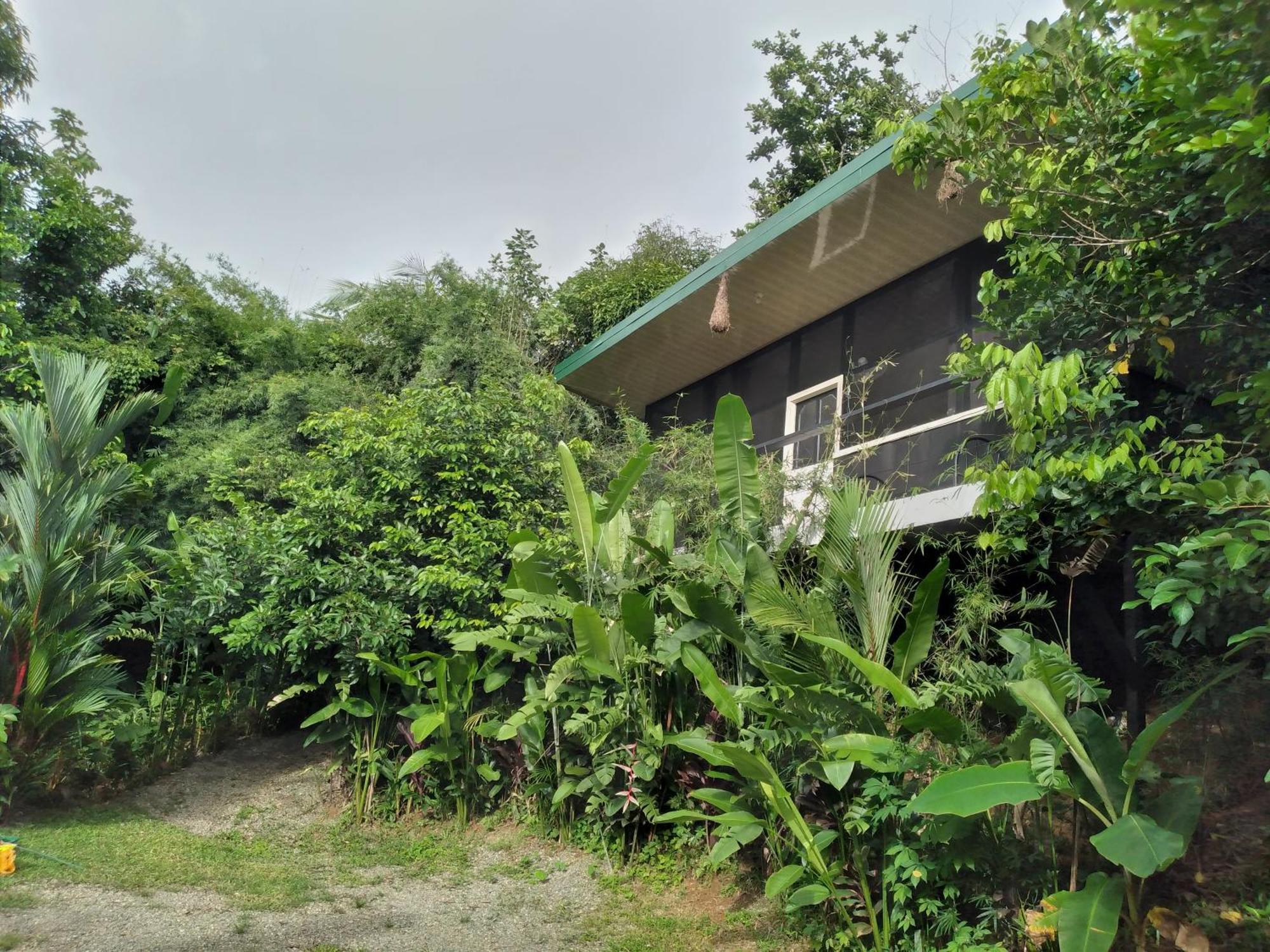Cabinas Fave Uvita Exterior foto