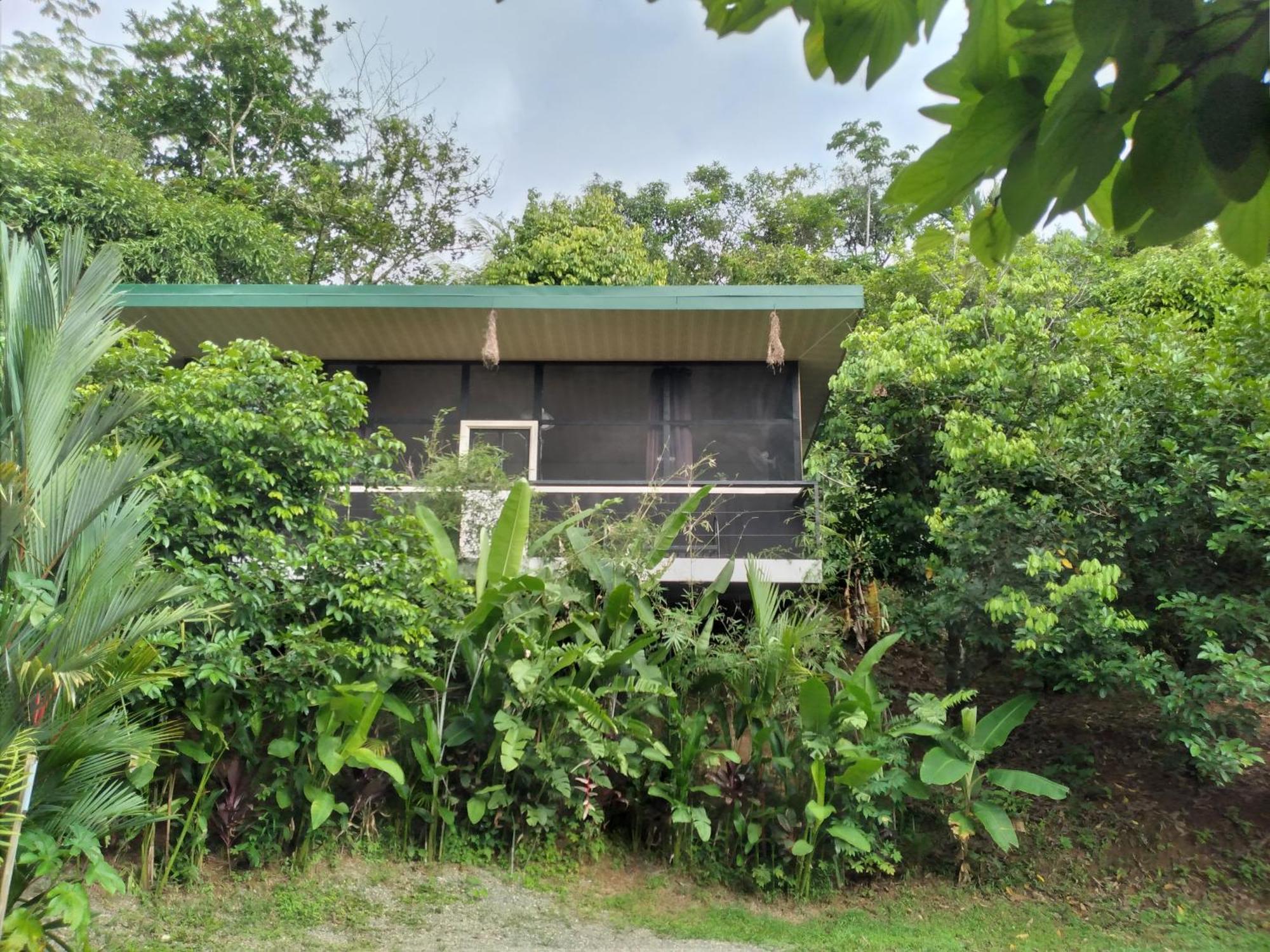 Cabinas Fave Uvita Exterior foto