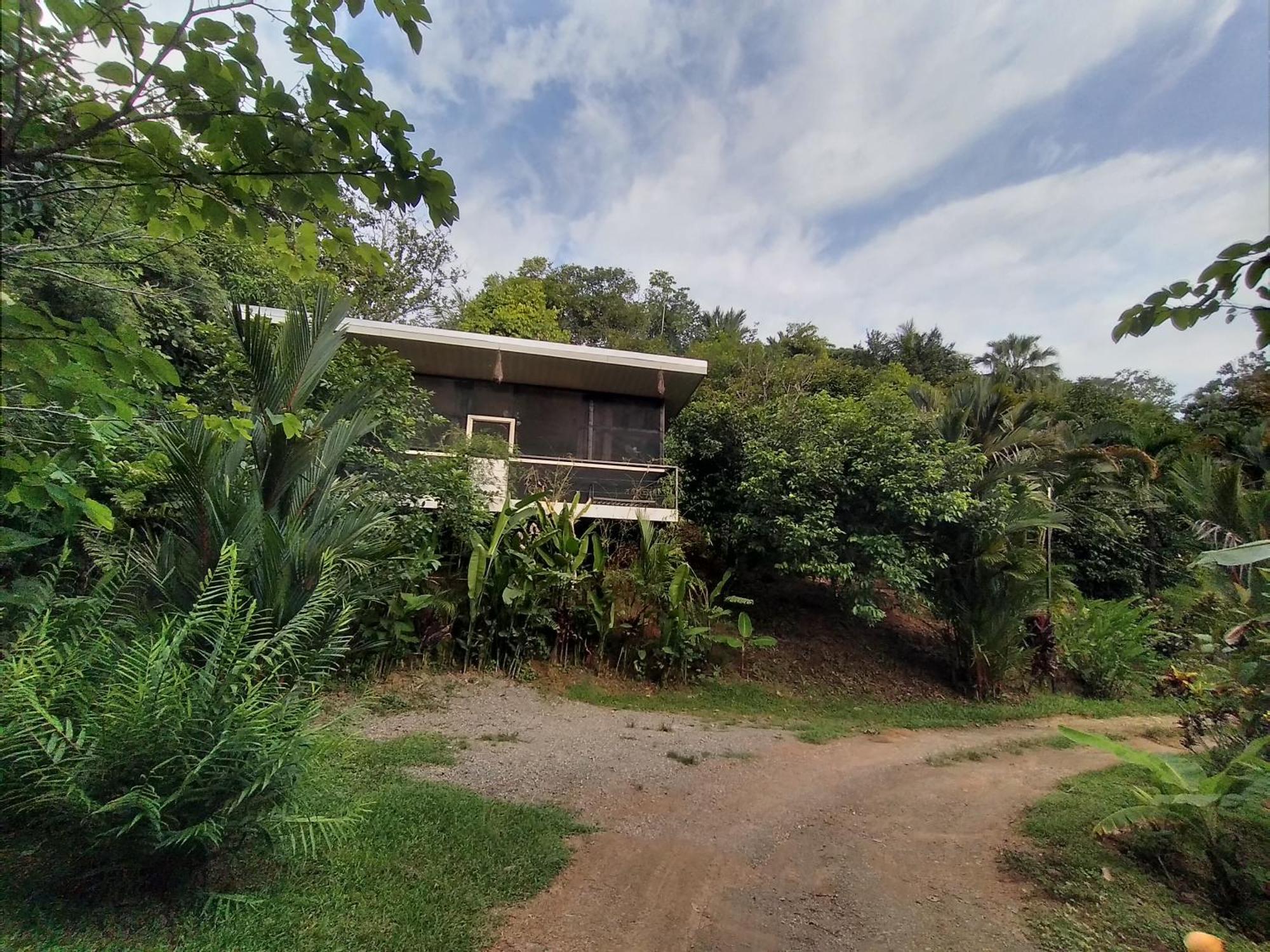 Cabinas Fave Uvita Zimmer foto