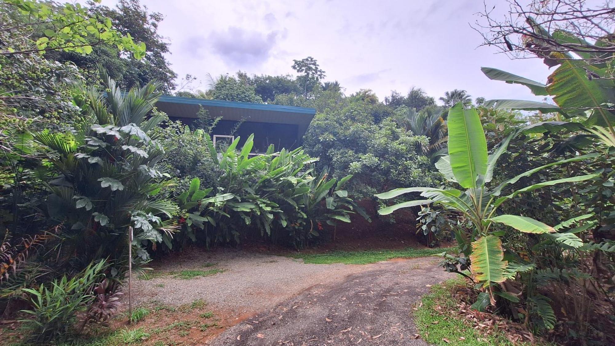 Cabinas Fave Uvita Exterior foto