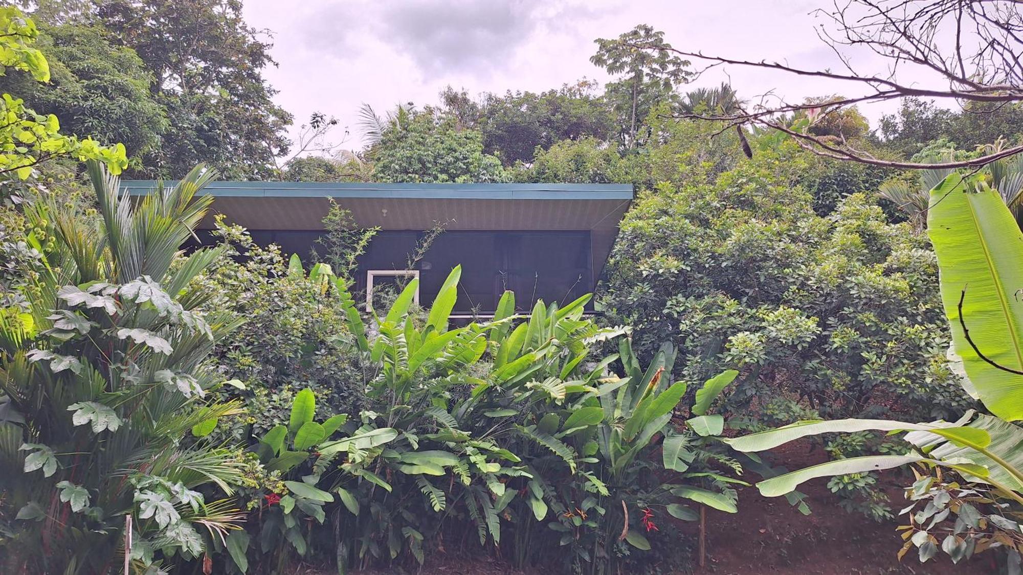 Cabinas Fave Uvita Exterior foto